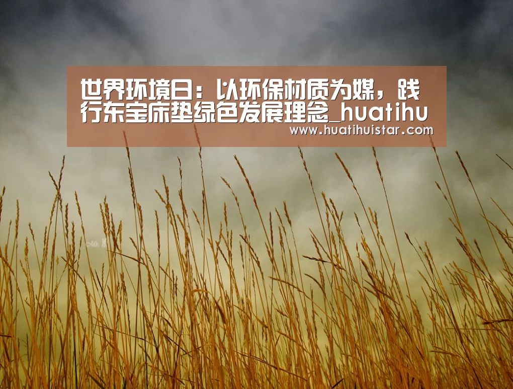 世界环境日：以环保材质为媒，践行东宝床垫绿色发展理念_huatihui(图1)