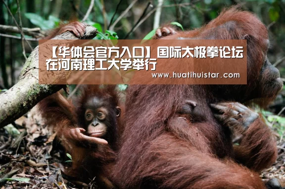 hth华体会官网