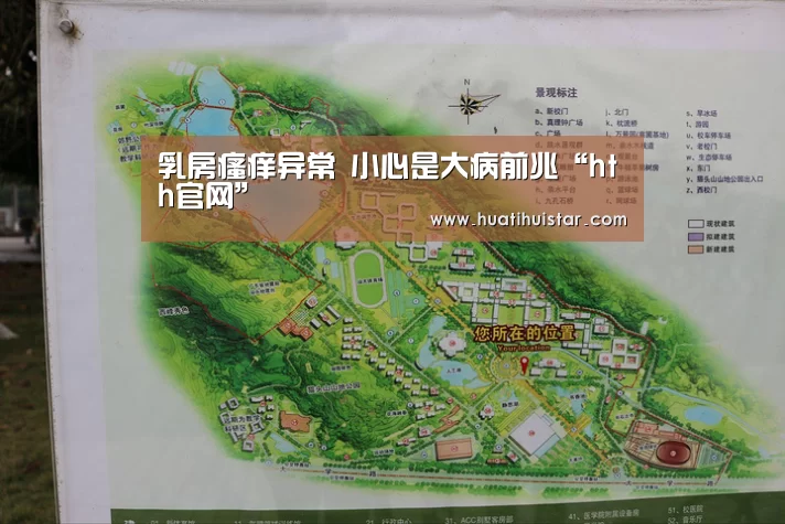 华体会官方入口